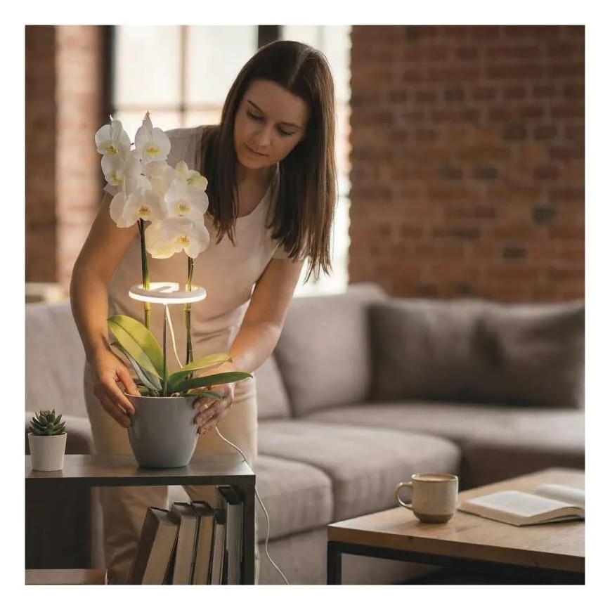 Dimbare LED-lamp voor binnenkweek van planten GROW LED/8W/5V