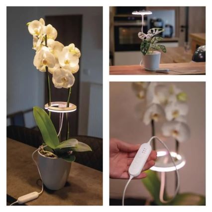 Dimbare LED-lamp voor binnenkweek van planten GROW LED/8W/5V