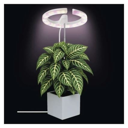 Dimbare LED-lamp voor binnenkweek van planten GROW LED/8W/5V