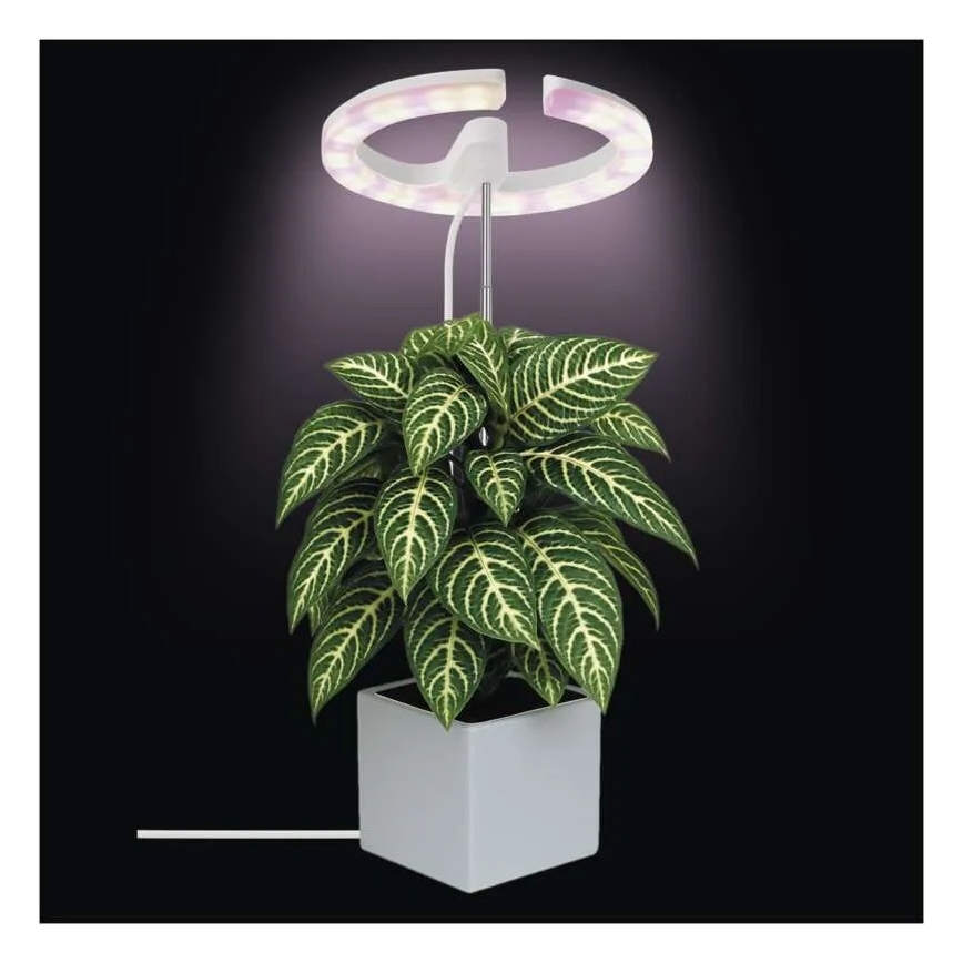 Dimbare LED-lamp voor binnenkweek van planten GROW LED/8W/5V