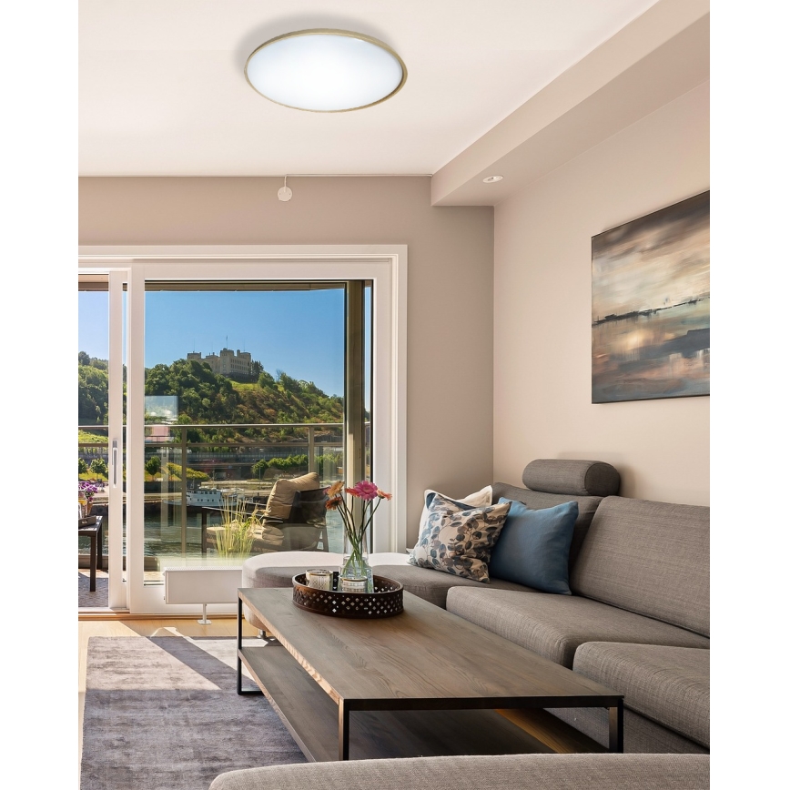 Dimbare LED plafondlamp DRINA LED/36W/230V 2700-6500K diameter 50 cm + afstandsbediening