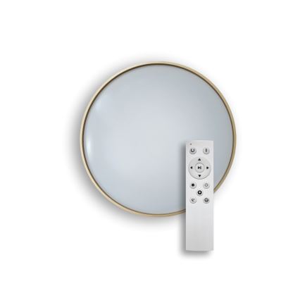 Dimbare LED plafondlamp DRINA LED/36W/230V 2700-6500K diameter 50 cm + afstandsbediening