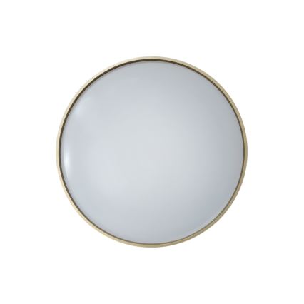 Dimbare LED plafondlamp DRINA LED/36W/230V 2700-6500K diameter 50 cm + afstandsbediening