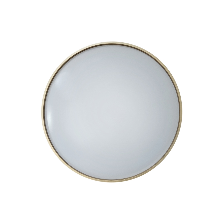 Dimbare LED plafondlamp DRINA LED/36W/230V 2700-6500K diameter 50 cm + afstandsbediening