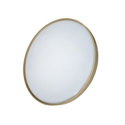 Dimbare LED plafondlamp DRINA LED/36W/230V 2700-6500K diameter 50 cm + afstandsbediening