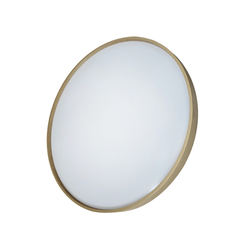 Dimbare LED plafondlamp DRINA LED/36W/230V 2700-6500K diameter 50 cm + afstandsbediening