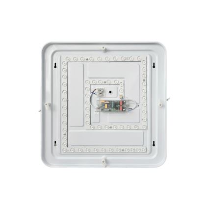 Dimbare LED plafondlamp FLORA LED/36W/230V 2700-6500K 43x43 cm + afstandsbediening