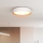 Dimbare LED plafondlamp LARIOS LED/48W/230V 3000-6500K diameter 39 cm wit + afstandsbediening