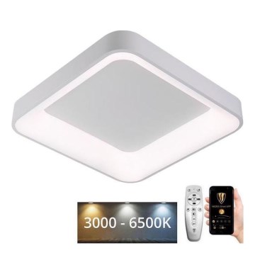 Dimbare LED Plafondlamp LED/45W/230V 3000-6500K wit + afstandsbediening