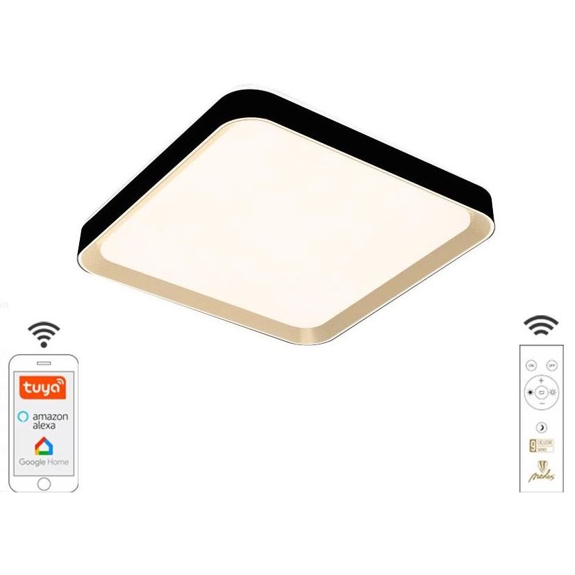 NETTLIFE LED Plafondlamp 72CM Zwart Dimbaar Met Afstandsbediening 48W Modern Rechthoekig Design