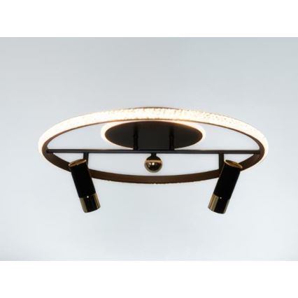 Dimbare LED Plafondlamp LED/60W/230V 3000-6500K zwart + afstandsbediening