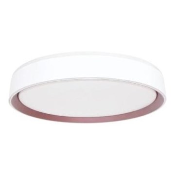 Dimbare LED plafondlamp met spraakbesturing OPAL LED/48W/230V 2700-6500K wit + afstandsbediening