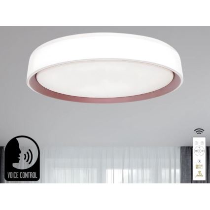 Dimbare LED plafondlamp met spraakbesturing OPAL LED/48W/230V 2700-6500K wit + afstandsbediening