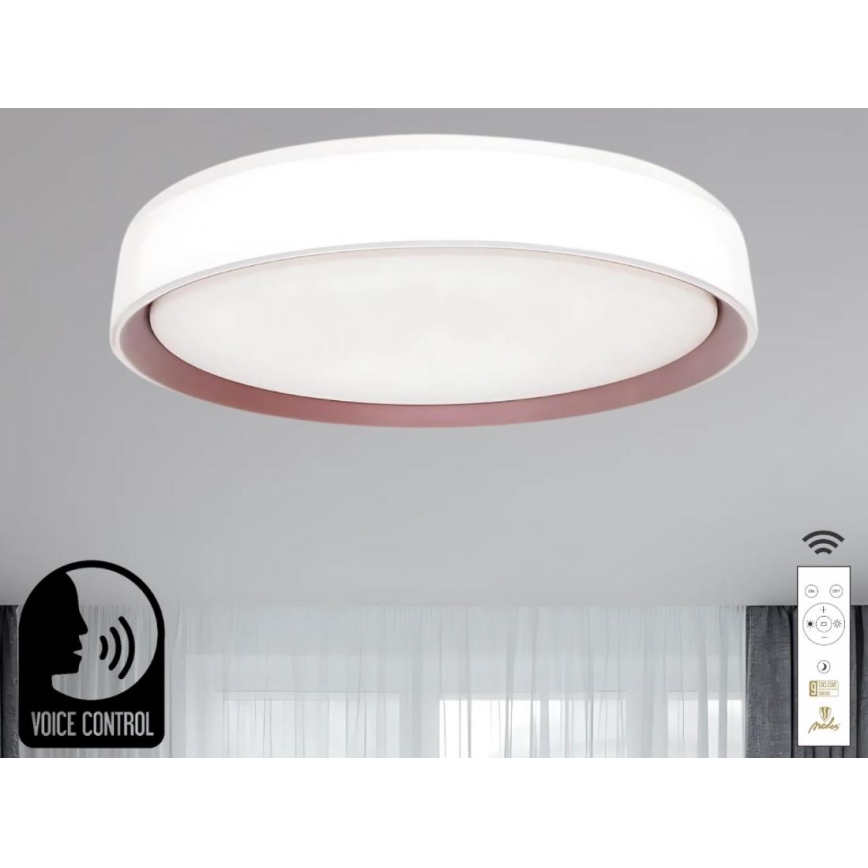 Dimbare LED plafondlamp met spraakbesturing OPAL LED/48W/230V 2700-6500K wit + afstandsbediening
