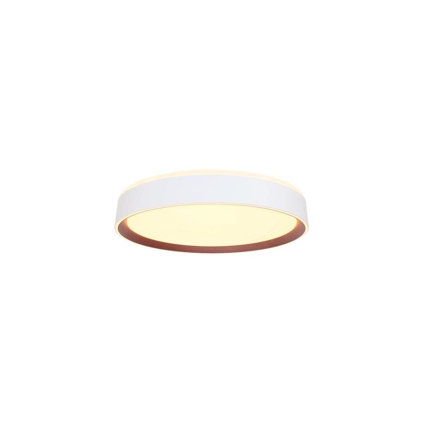 Dimbare LED plafondlamp met spraakbesturing OPAL LED/48W/230V 2700-6500K wit + afstandsbediening