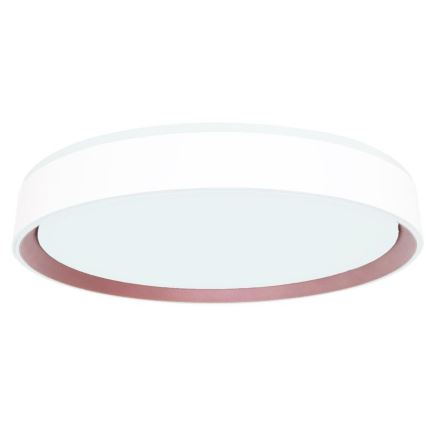 Dimbare LED plafondlamp met spraakbesturing OPAL LED/48W/230V 2700-6500K wit + afstandsbediening