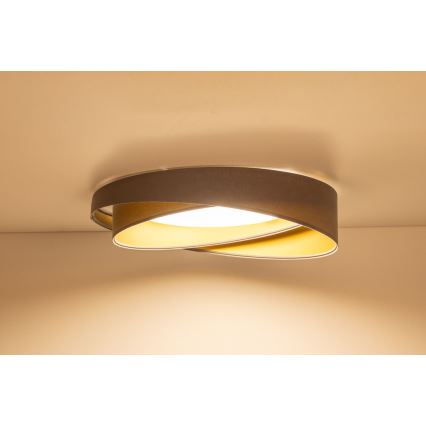 Dimbare LED-plafondlamp SMART GALAXY MODERN LED/24W/230V 3000-6500K Ø 55 cm grijs/goud + afstandsbediening