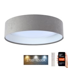 Dimbare LED Plafondlamp SMART GALAXY LED/24W/230V d. 45 cm 2700-6500K Wi-Fi Tuya grijs/wit + afstandsbediening
