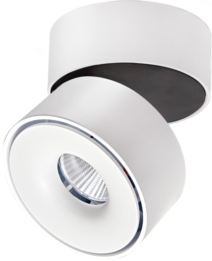 Dimbare LED Spot LAHTI LED/13,5W/230V 3000K CRI 90 wit