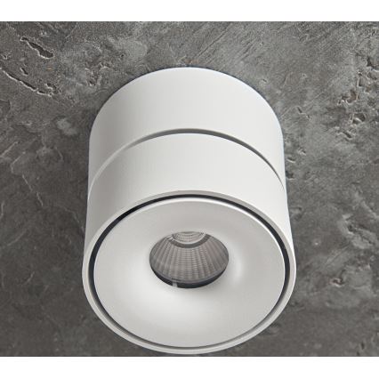 Dimbare LED Spot LAHTI LED/13,5W/230V 3000K CRI 90 wit