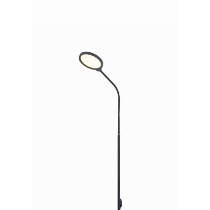 Dimbare LED Staande lamp 2in1 LED/10W/230V 3000-4500-6500K zwart