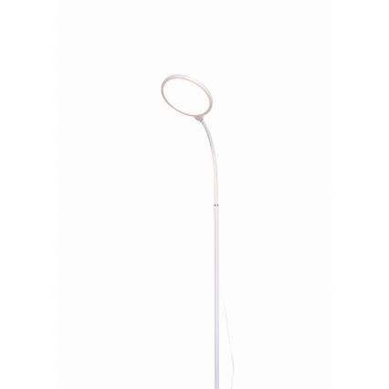 Dimbare LED Staande lamp 2in1 LED/10W/230V wit