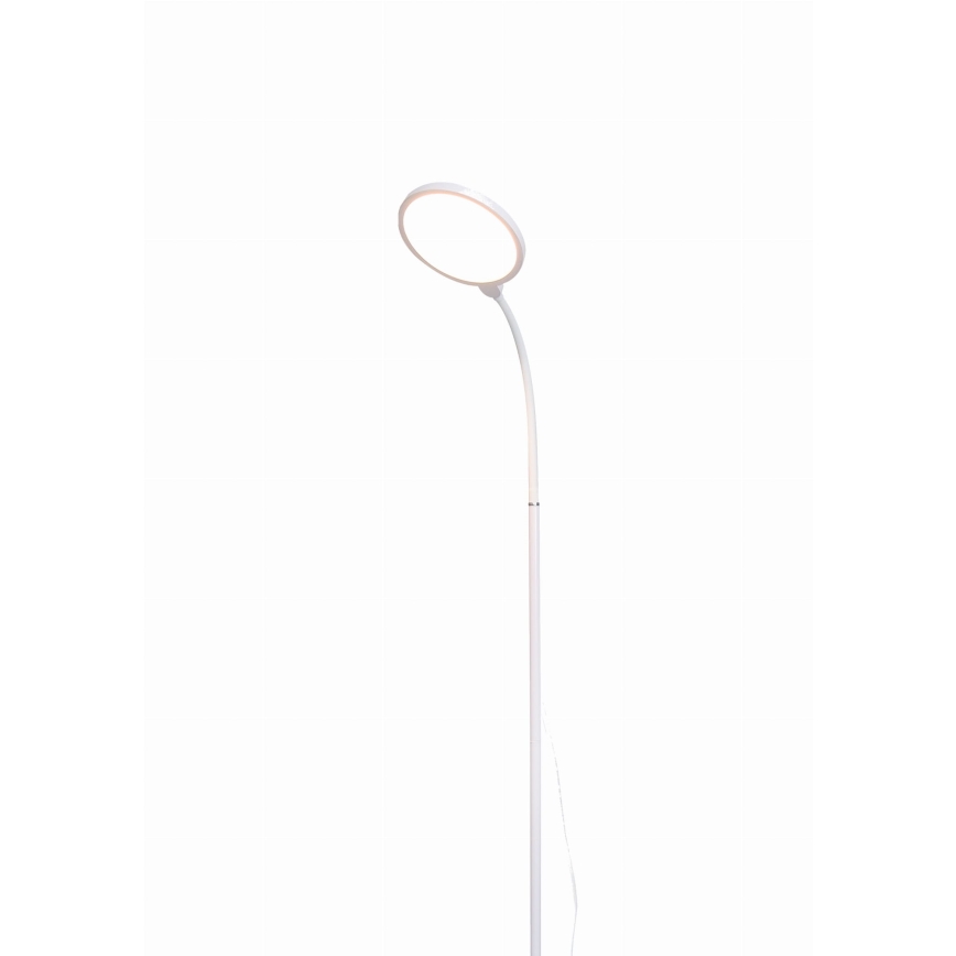 Dimbare LED Staande lamp 2in1 LED/10W/230V wit
