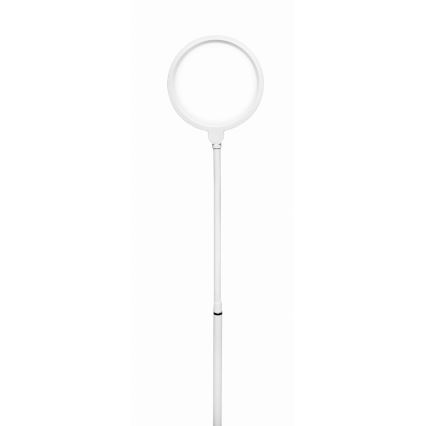 Dimbare LED Staande lamp 2in1 LED/10W/230V wit