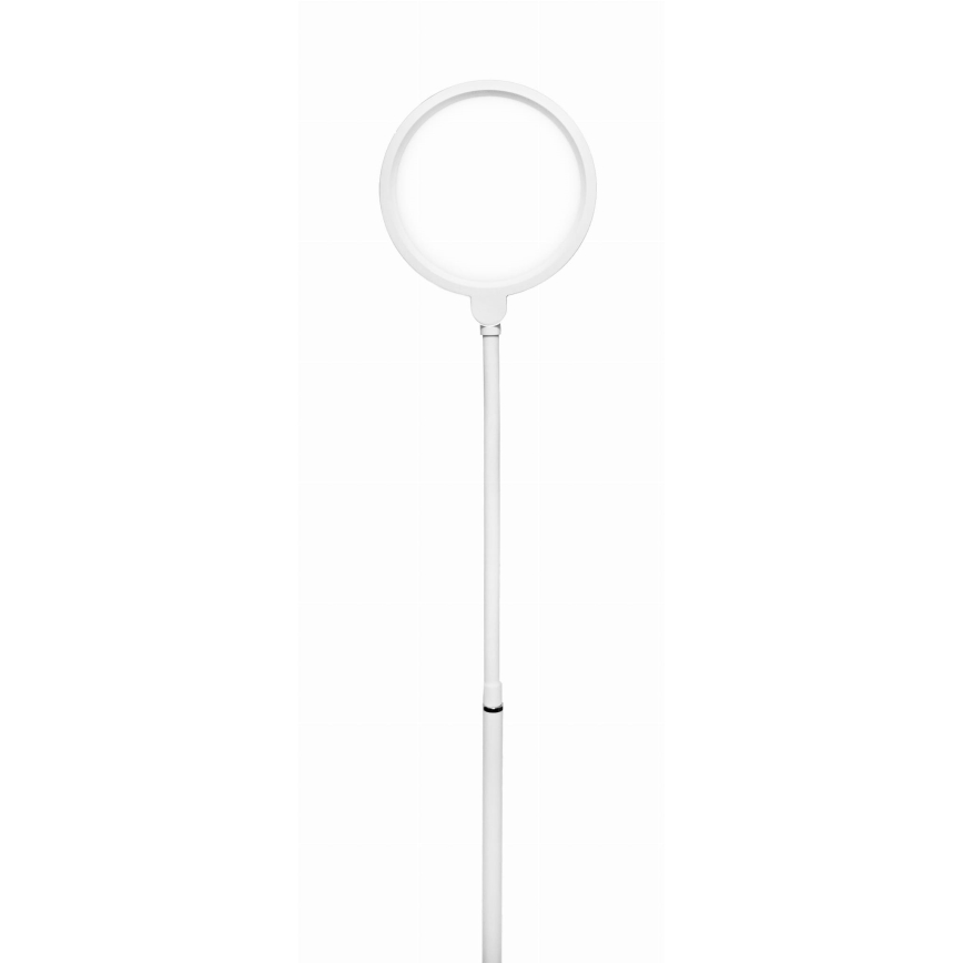 Dimbare LED Staande lamp 2in1 LED/10W/230V wit