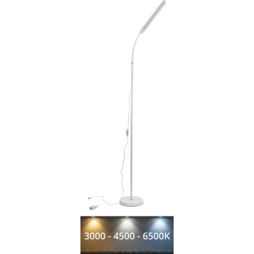Dimbare LED Staande lamp SIGNUS LED/10W/230V 3000/4500/6500K wit