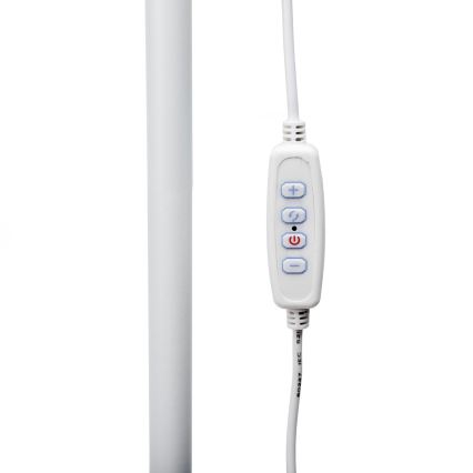 Dimbare LED Staande lamp SIGNUS LED/10W/230V 3000/4500/6500K wit