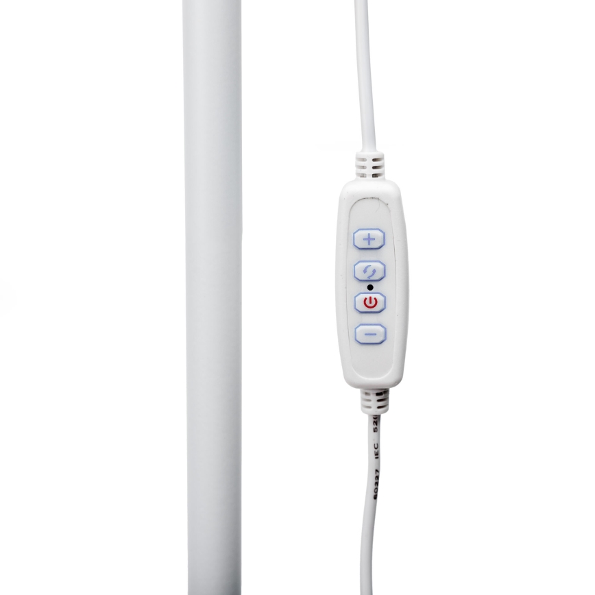 Dimbare LED Staande lamp SIGNUS LED/10W/230V 3000/4500/6500K wit