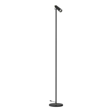 Dimbare LED Staande lamp TIT LED/6W/230V zwart