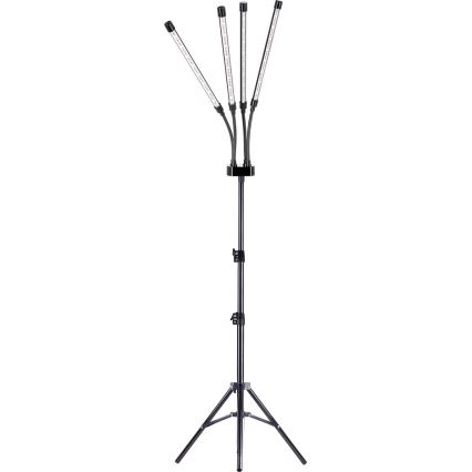 LED Dimbaar flexibel Staande lamp voor het kweken van planten VITARO 4xLED/7,5W/230V zwart