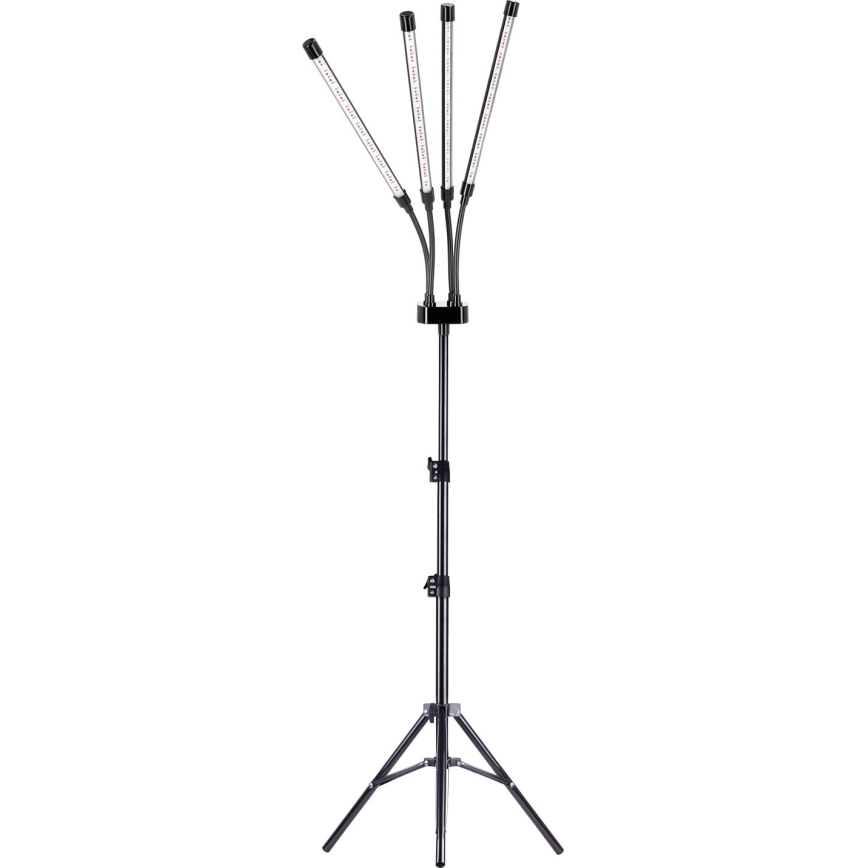 LED Dimbaar flexibel Staande lamp voor het kweken van planten VITARO 4xLED/7,5W/230V zwart