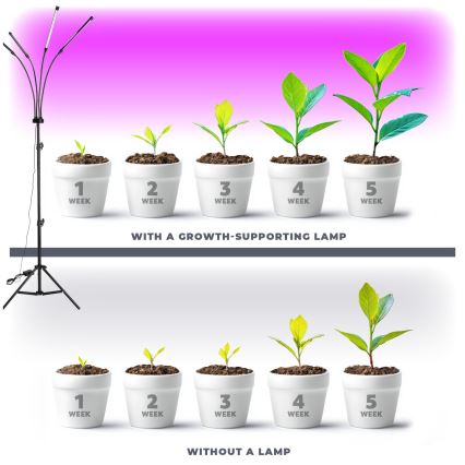 LED Dimbaar flexibel Staande lamp voor het kweken van planten VITARO 4xLED/7,5W/230V zwart