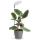Dimbare LED-tafellamp voor plantenkweek VERDI LED/5W/5V 1300K CRI 95 wit