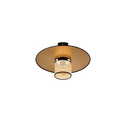 Duolla - Bevestigde hanglamp TOKYO RATTAN 1xE27/15W/230V diameter 50 cm goud/rotan