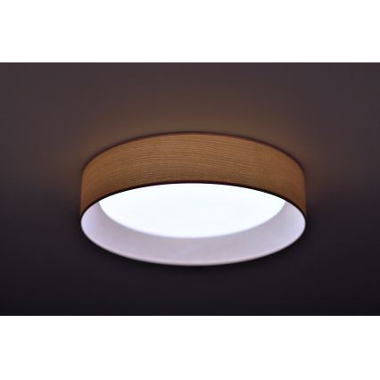 Duolla - LED Plafondlamp ROLLER LED/24W/230V diameter 45 cm essehout