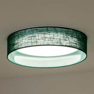 Duolla - LED Plafondlamp ROLLER LED/24W/230V diameter 45 cm groen