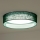 Duolla - LED Plafondlamp ROLLER LED/24W/230V diameter 45 cm groen