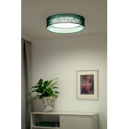 Duolla - LED Plafondlamp ROLLER LED/24W/230V diameter 45 cm groen