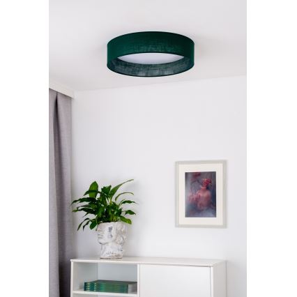 Duolla - LED Plafondlamp ROLLER LED/24W/230V diameter 45 cm groen