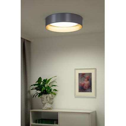 Duolla - LED Plafondlamp ROLLER LED/24W/230V diameter 45 cm zilver/goud
