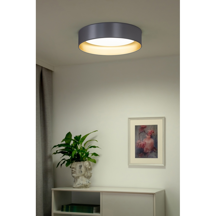 Duolla - LED Plafondlamp ROLLER LED/24W/230V diameter 45 cm zilver/goud