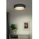 Duolla - LED Plafondlamp ROLLER LED/24W/230V zwart/koper