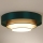 Duolla - Plafonnier LUNETA LED/26W/230V d. 60 cm 4000K vert/doré/blanc