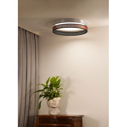 Duolla - Plafonnier ROLLER DUO SHINY LED/24W/230V d. 45 cm blanc/cuivre