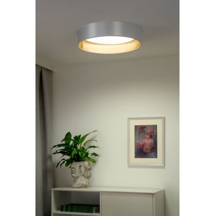 Duolla - Plafonnier ROLLER LED/24W/230V d. 45 cm argent/doré