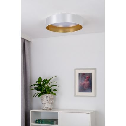 Duolla - Plafonnier ROLLER LED/24W/230V d. 45 cm argent/doré